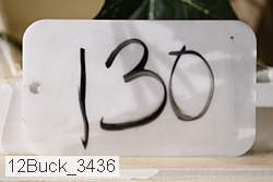 12buck_3436 thumbnail