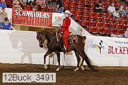 12buck_3491 thumbnail