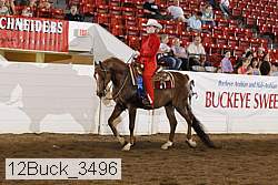 12buck_3496 thumbnail