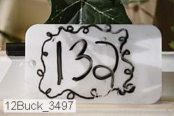 12buck_3497 thumbnail