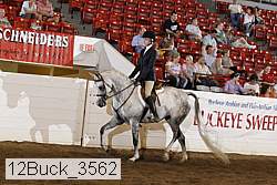 12buck_3562 thumbnail