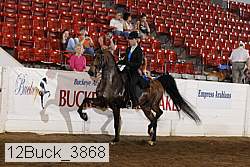 12buck_3868 thumbnail