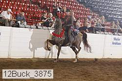 12buck_3875 thumbnail