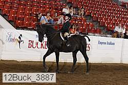 12buck_3887 thumbnail