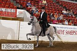12buck_3928 thumbnail