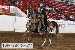 12buck_3972 thumbnail