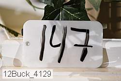 12buck_4129 thumbnail