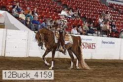 12buck_4159 thumbnail