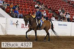 12buck_4327 thumbnail