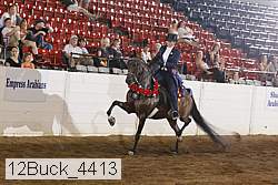 12buck_4413 thumbnail