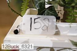 12buck_6321 thumbnail