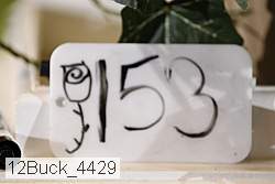 12buck_4429 thumbnail