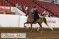 12buck_4431 thumbnail