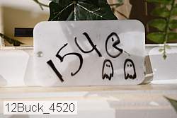 12buck_4520 thumbnail