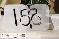 12buck_4566 thumbnail