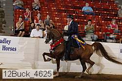 12buck_4625 thumbnail