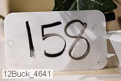 12buck_4641 thumbnail