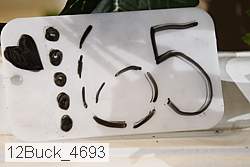 12buck_4693 thumbnail