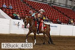 12buck_4803 thumbnail