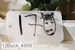 12buck_4809 thumbnail