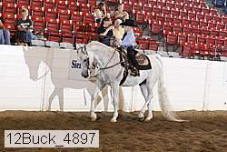 12buck_4897 thumbnail