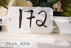 12buck_4904 thumbnail