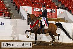 12buck_5989 thumbnail