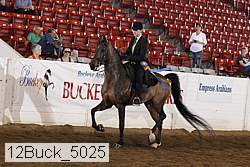 12buck_5025 thumbnail