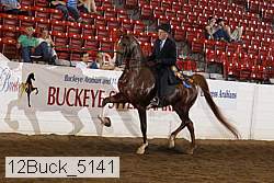 12buck_5141 thumbnail