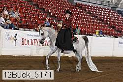 12buck_5171 thumbnail