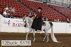 12buck_5176 thumbnail