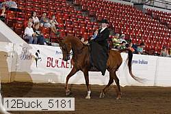 12buck_5181 thumbnail