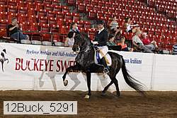 12buck_5291 thumbnail