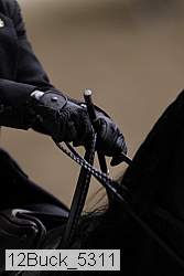 12buck_5311 thumbnail