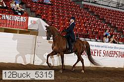 12buck_5315 thumbnail