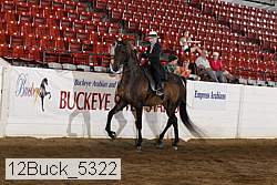 12buck_5322 thumbnail