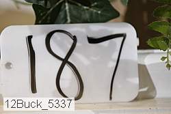 12buck_5337 thumbnail