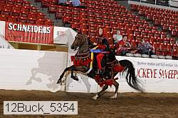 12buck_5354 thumbnail