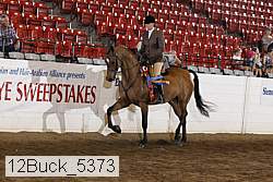 12buck_5373 thumbnail