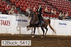 12buck_5412 thumbnail