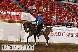 12buck_5435 thumbnail