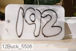 12buck_5506 thumbnail