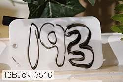 12buck_5516 thumbnail