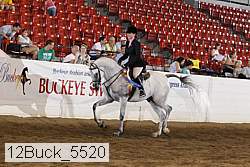 12buck_5520 thumbnail