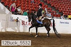 12buck_5532 thumbnail