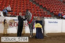 12buck_5784 thumbnail