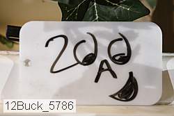 12buck_5786 thumbnail