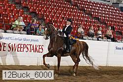 12buck_6000 thumbnail