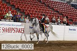 12buck_6002 thumbnail