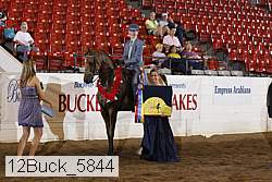 12buck_5844 thumbnail